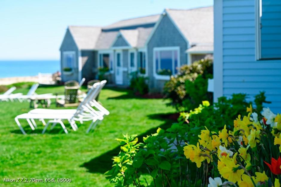 Nauset Beach Inn オーリンズ エクステリア 写真